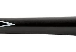 Mizuno Mizuno Pro Carbon Fungo Bat